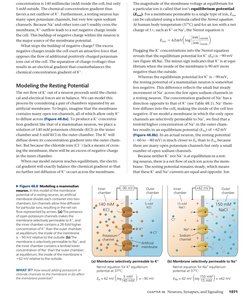 Modeling a membrane with selective permeability