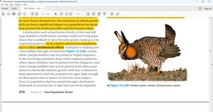 Greater prairie chicken, an example of the bottleneck effect