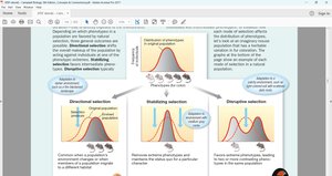 Graphical representation of directional, stabilizing, and disruptive selection