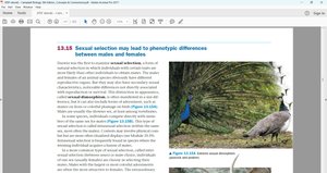 Sexual selection in peafowl, showing male and female differences