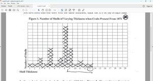 Graph showing shell thickness distribution in 1982-1984