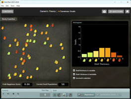Simulation of Darwinian snails showing shell thickness distribution