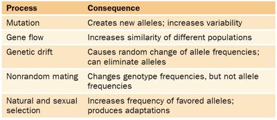 Causes of Evolution Table
