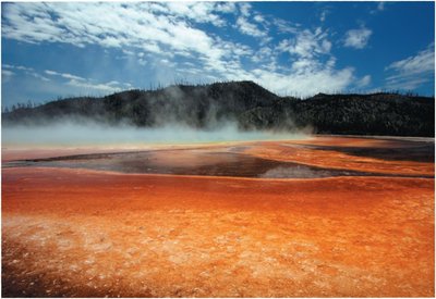Extreme environment inhabited by Archaea