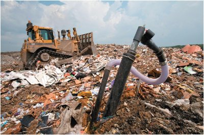 Methanogen habitat in a landfill