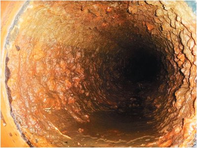 Biofilm inside a pipe