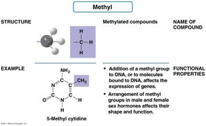 Methyl group structure, example, and properties