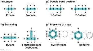 Examples of carbon skeleton variation: length, branching, double bond position, rings