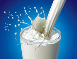 Lactose structure