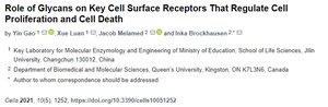 Role of glycans in cell signaling