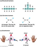 Types of isomers: structural, cis-trans, and enantiomers
