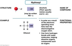 Hydroxyl group structure, example, and properties