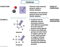 Carbonyl group structure, example, and properties