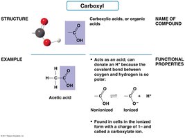 Carboxyl group structure, example, and properties