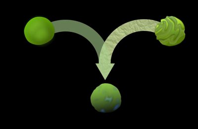 Diagram showing blending and particulate inheritance hypotheses