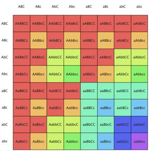 Punnett square for trihybrid cross