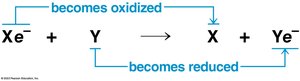 General redox reaction diagram