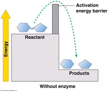 Activation energy diagram