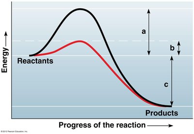 Enzyme lowers energy barrier