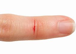 Cell signaling initiates cell division (diagram)