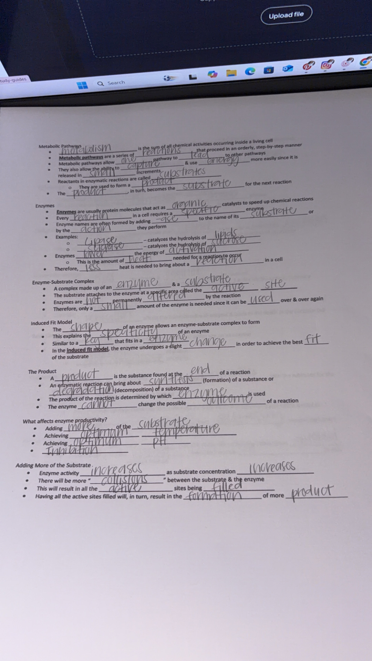 Handwritten and typed notes on metabolic pathways and enzyme function