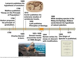 Timeline of key events leading to Darwin's theory of evolution