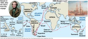 Map of HMS Beagle's voyage and Darwin's travels