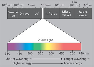 Electromagnetic spectrum highlighting visible light