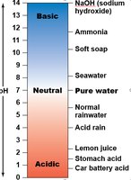 pH scale with examples of substances