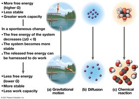 Free Energy, Stability, and Spontaneous Change