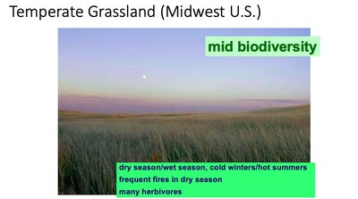 Temperate grassland biome with mid biodiversity