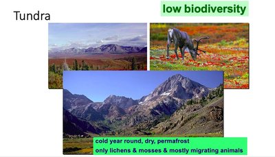 Tundra biome with low biodiversity