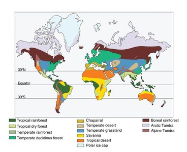 World map of biomes
