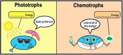 Phototrophs vs. Chemotrophs cartoon