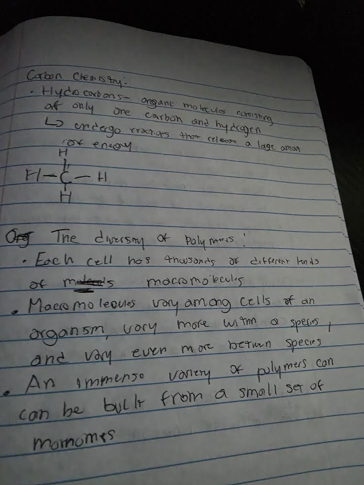Handwritten notes showing hydrocarbon structure and diversity of polymers