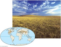 Temperate grassland in Saskatchewan
