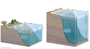 Zonation in lakes and marine environments