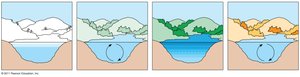 Seasonal turnover in lakes