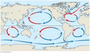 Ocean currents and their influence on climate