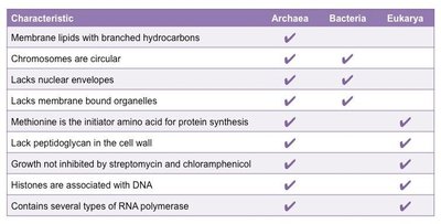 Table comparing characteristics of Archaea, Bacteria, and Eukarya