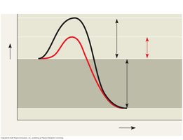 Effect of enzyme on activation energy