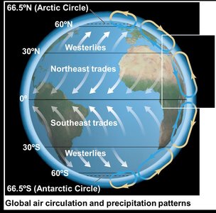 Global air circulation and precipitation patterns