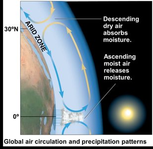 Global air circulation and precipitation patterns (close-up)
