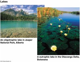 Oligotrophic and eutrophic lakes