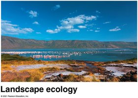 Landscape ecology: view of a landscape with water