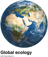 Global ecology: Earth