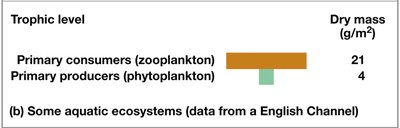 Biomass pyramid for an aquatic ecosystem