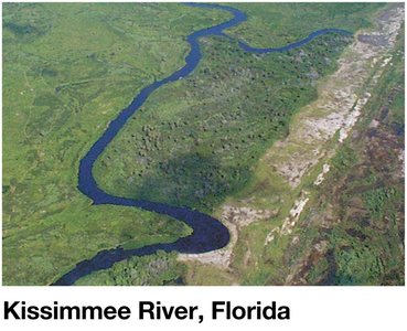 Restoration of a coastal ecosystem