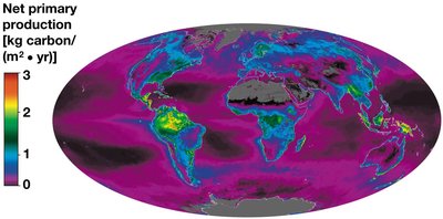Global map of net primary production
