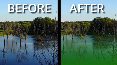 Eutrophication: before and after nutrient enrichment
